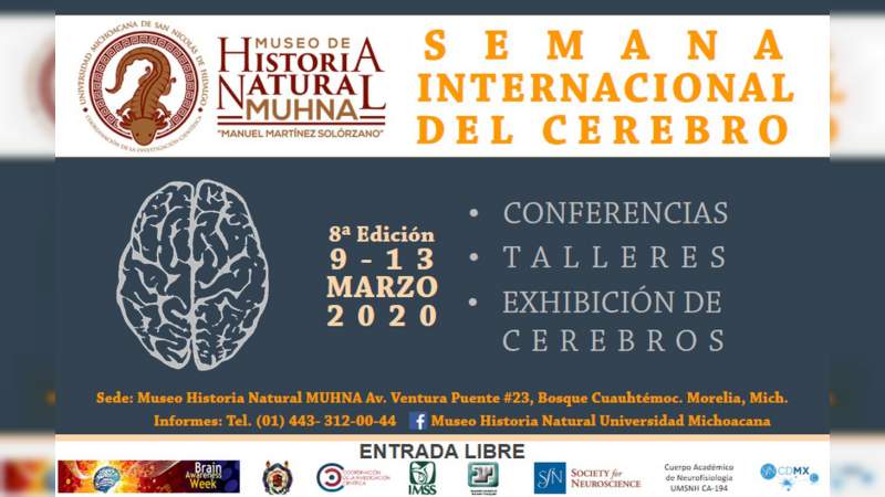 UMSNH celebrará semana interina del cerebro 2020  