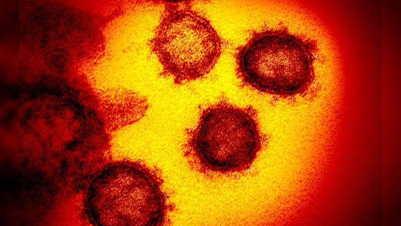 Estados Unidos tendría la vacuna contra el coronavirus en un año 