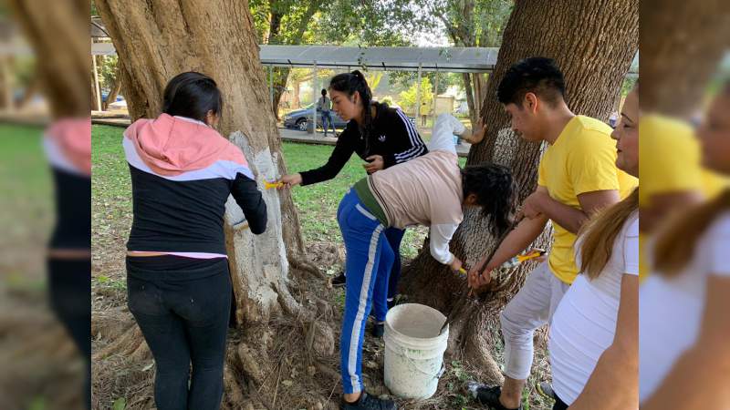 Casas de estudiantes de la UMSNH realiza jornadas de mantenimiento y limpieza  - Foto 3 
